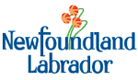 Newoundland Labrador Government